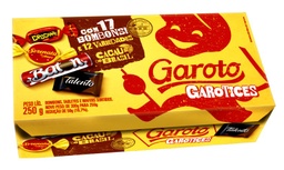 GAROTO CAIXA BOMBONS SORTIDOS 250G BR